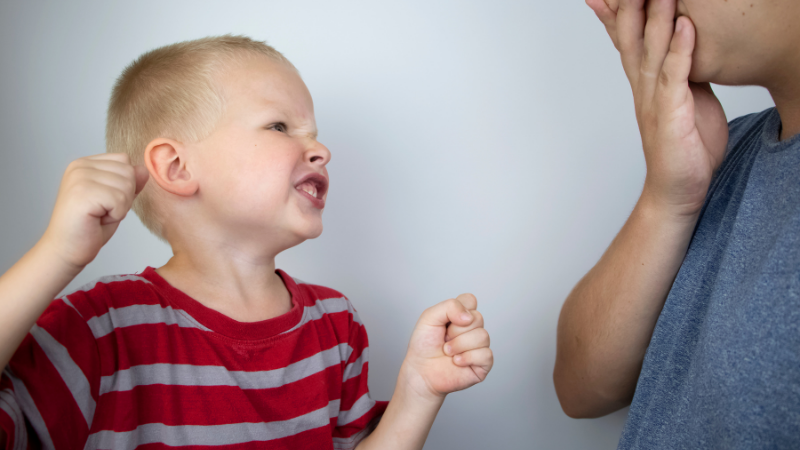A New Perspective on Aggression: 6 Connection-focused Insights Every Parent Should Know