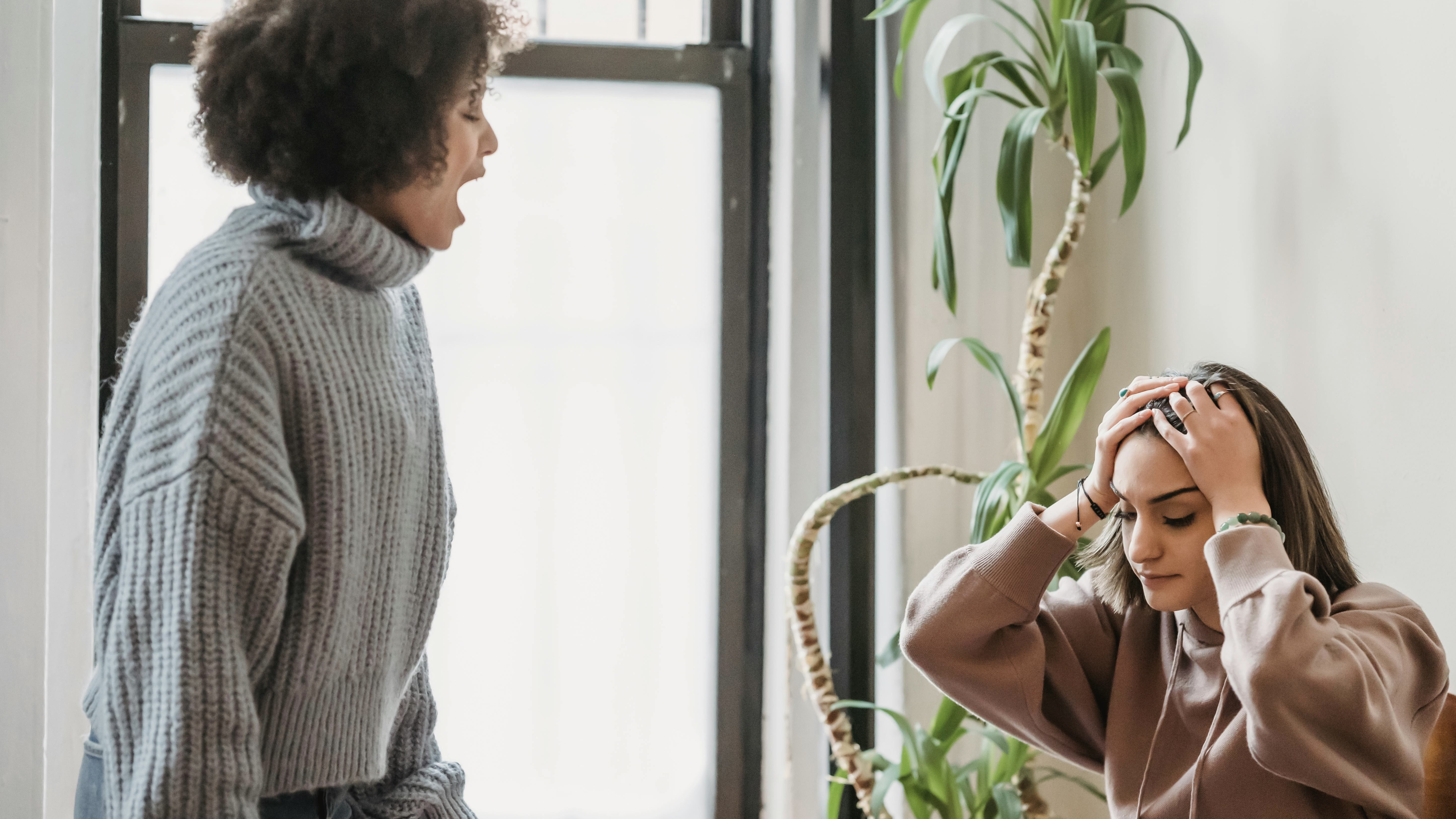 From Shared Bedrooms to Separate Lives: How Adult Siblings Drift Apart