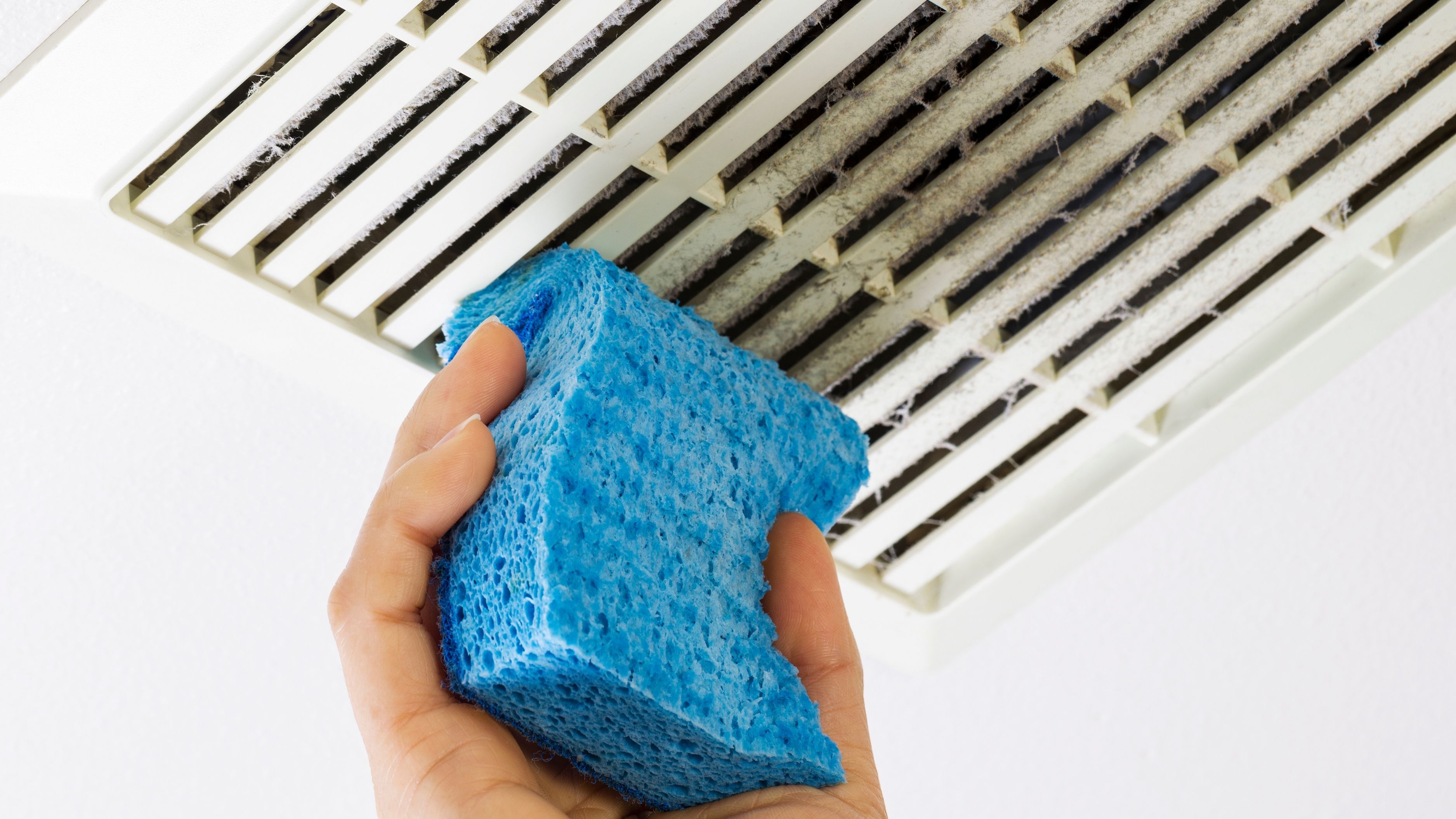 How to Fix and Maintain Home Air Quality on a Budget