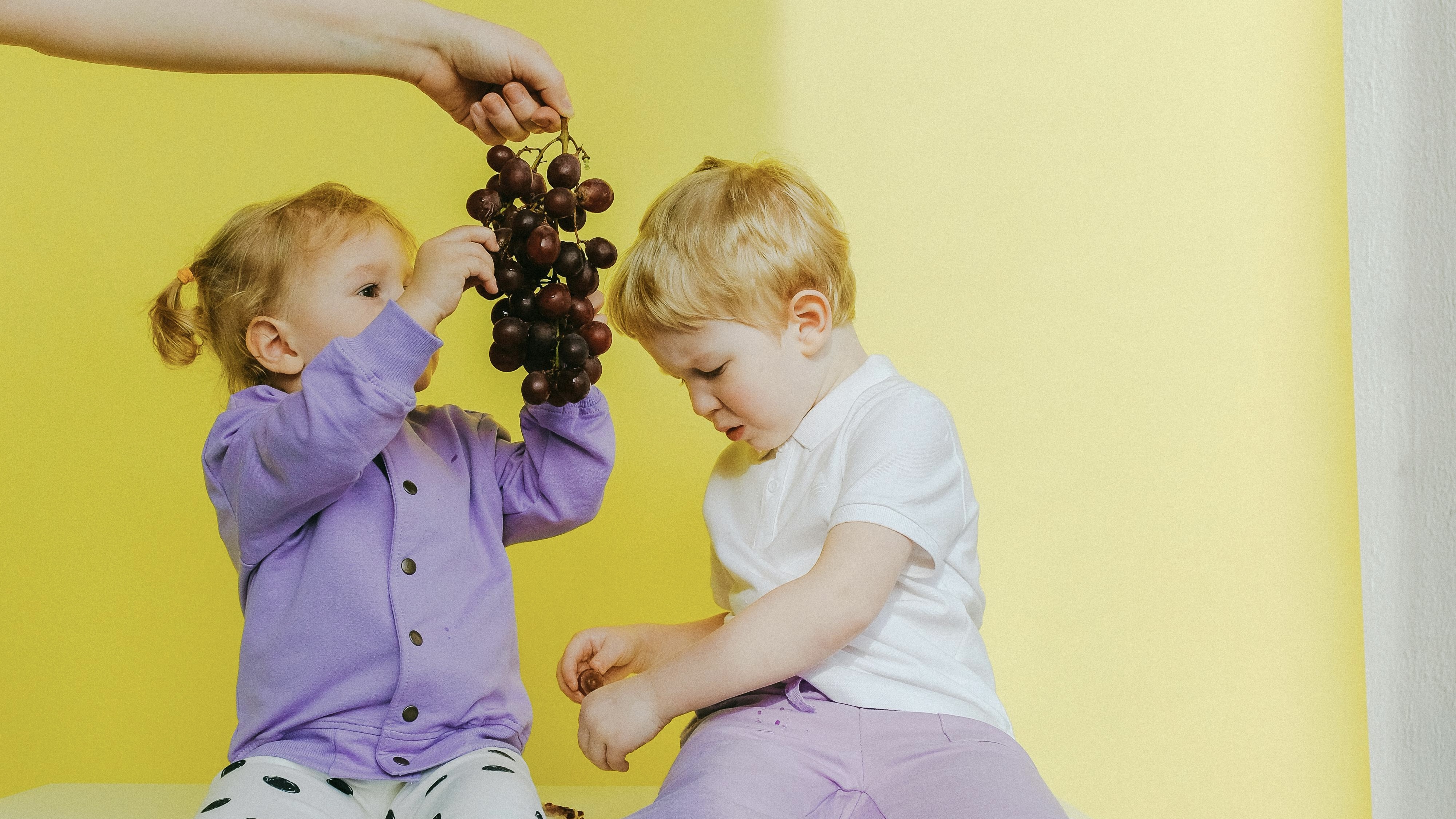 Healthy Meal Planning: a Family Guide to Nutritious Eating