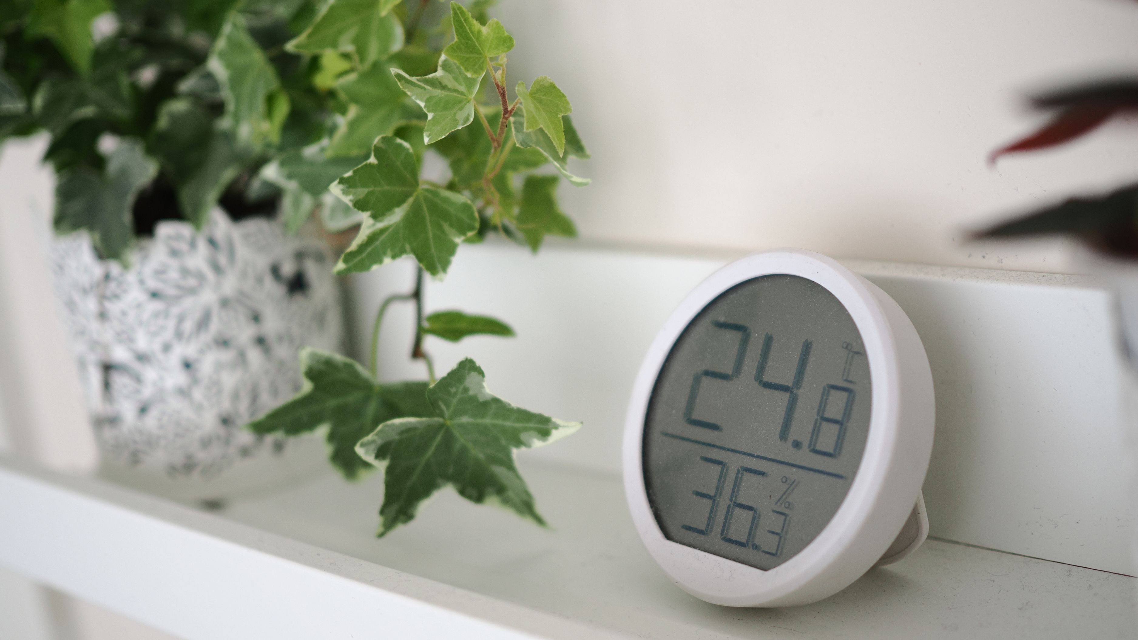 What Humidity Level Should You Maintain in Your Home?