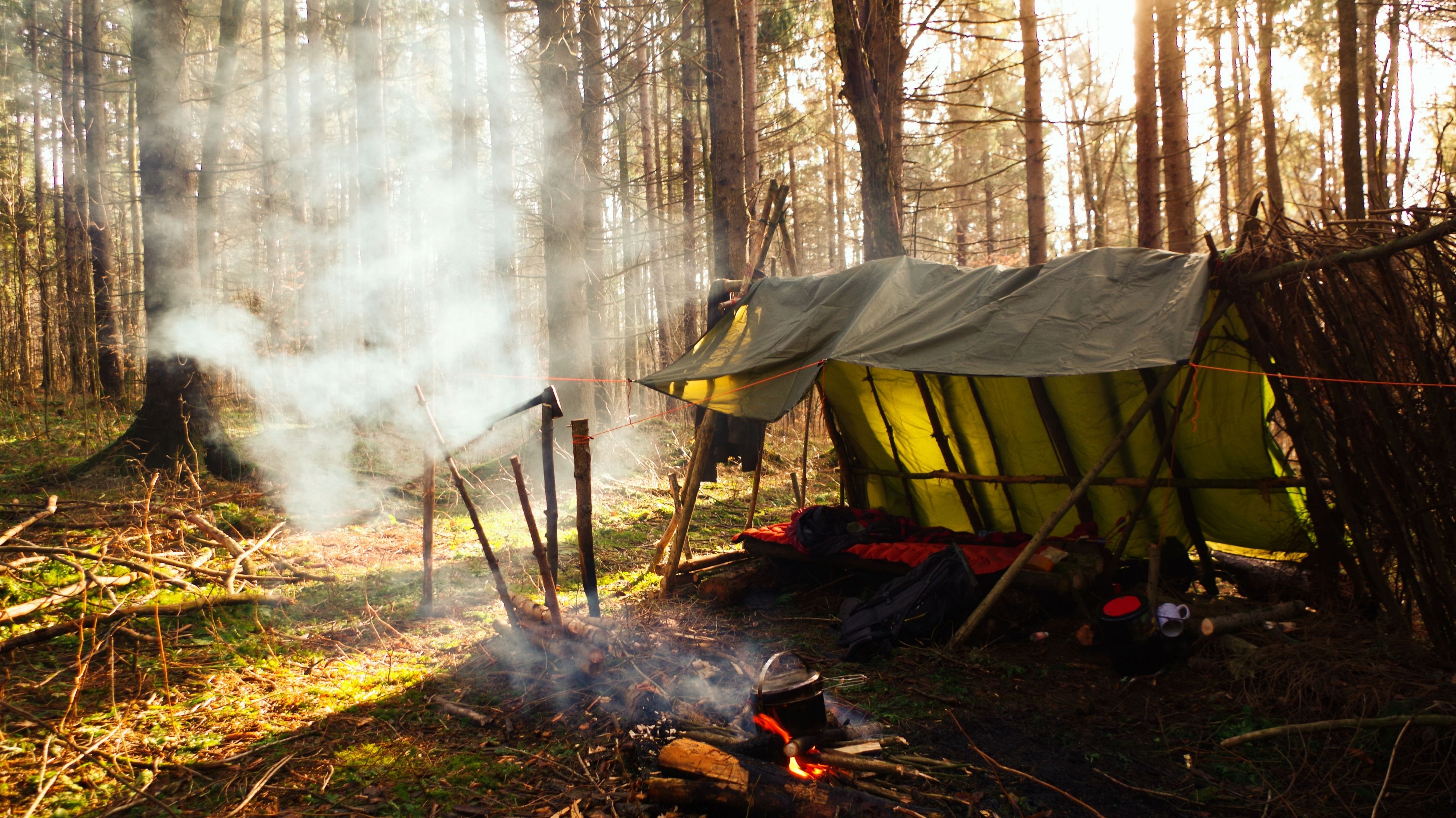 What Are the Top 10 Survival Games That Test Your Skills?