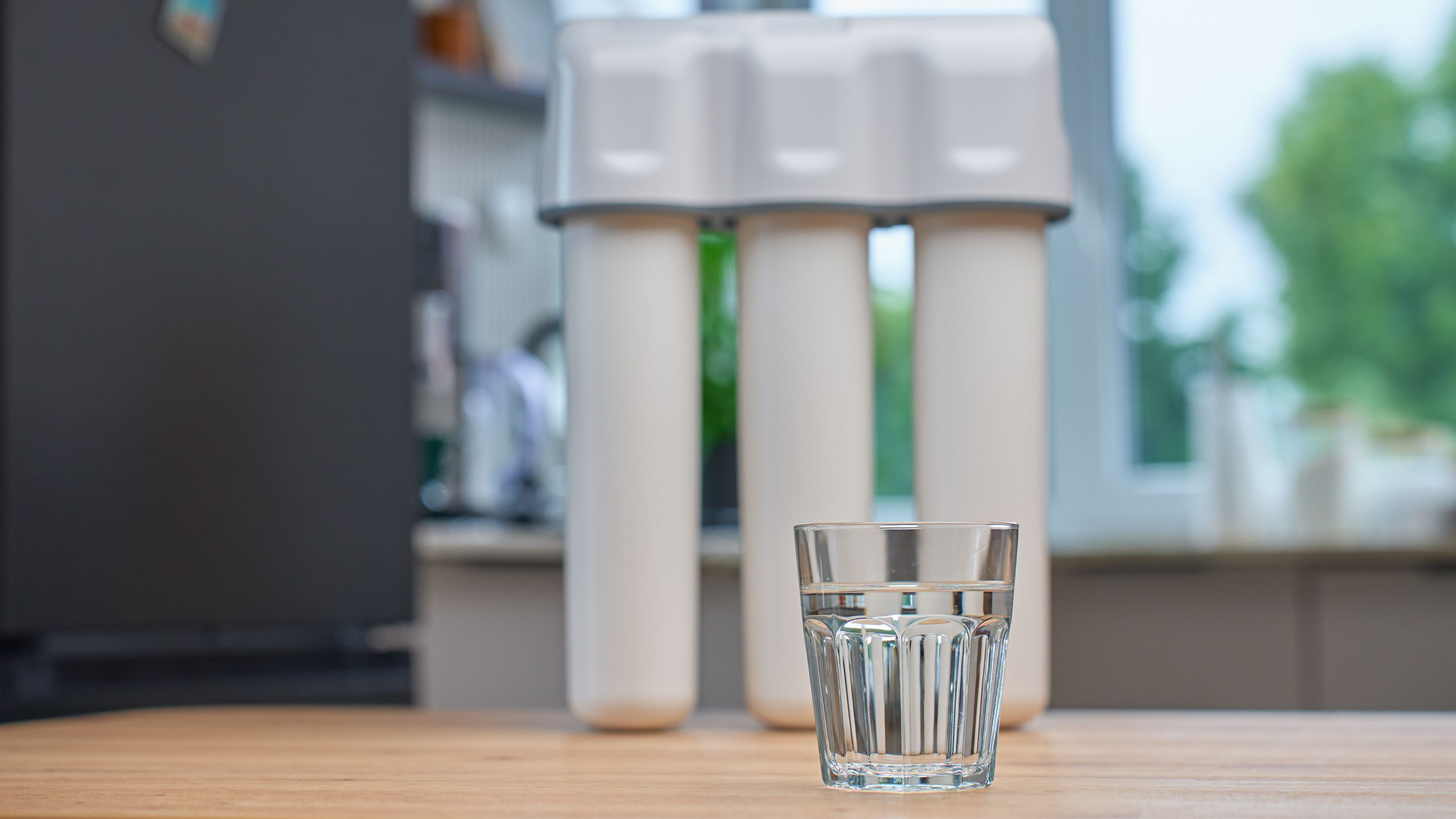Which Water Filtration System Best Removes Endocrine Disruptors?